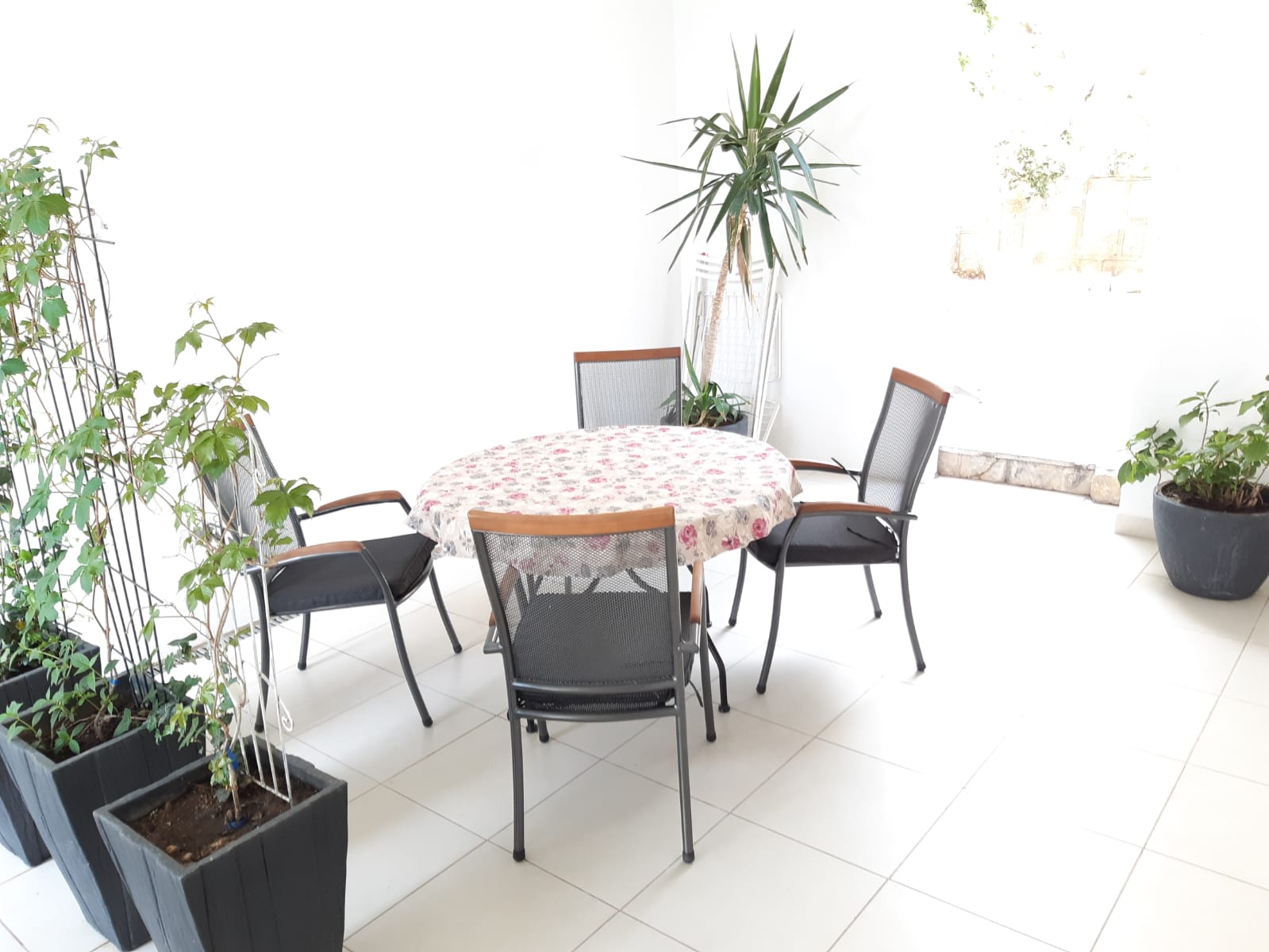 apartment-brela