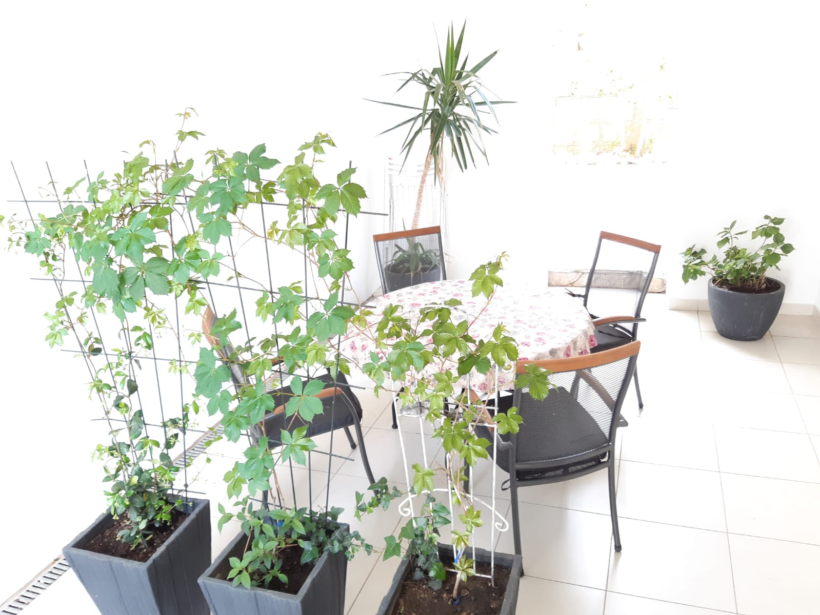 apartment-brela