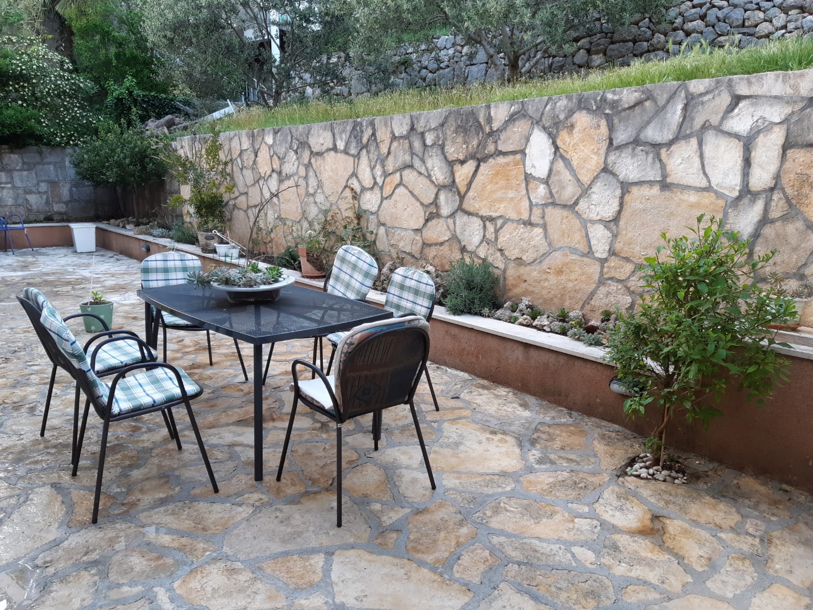 apartment-brela